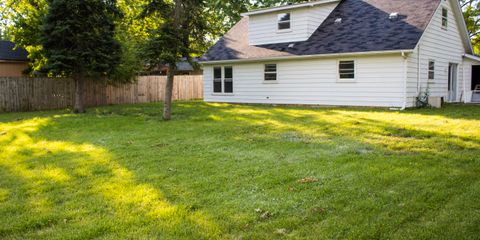 Back yard.jpg