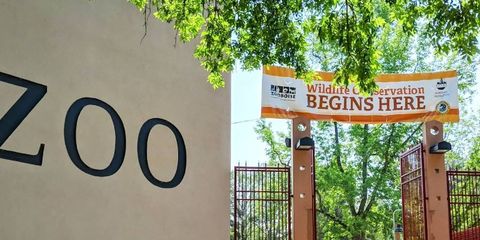 Boise Zoo.jpg