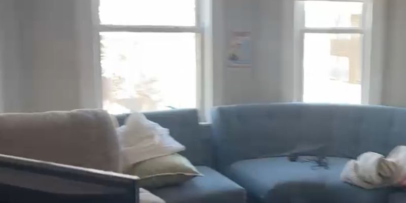 Boston Apartment: 19 Roseclair St