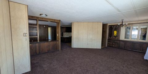 6a3ddec39324534549cee46a-1782766707482-c9a2d858a496709ab0a8f4958983a00c.jpg