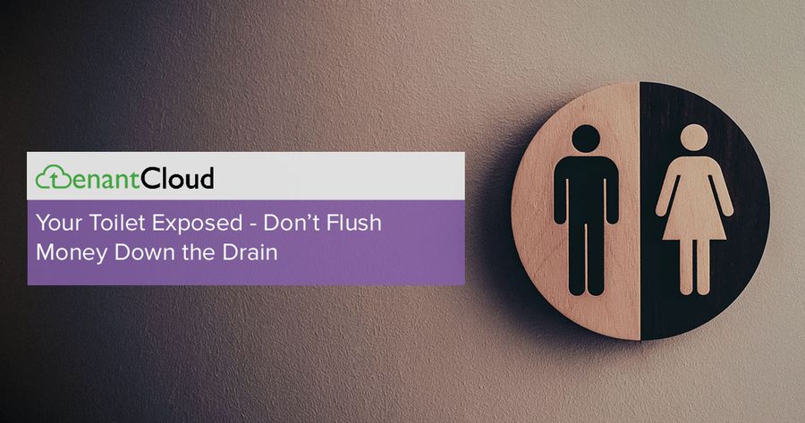Your Toilet Exposed - Don't Flush Money Down the Drain