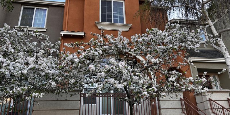 Santa Clara House: 4490 Lick Mill Blvd