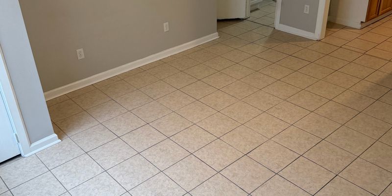 Berea Apartment: 31 Elm Street