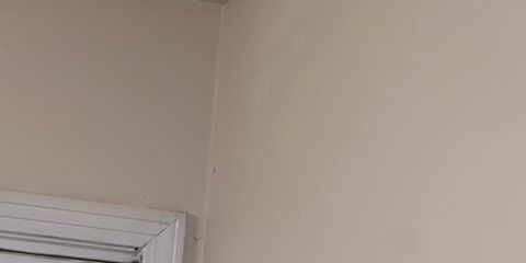 IMG_8394.jpeg