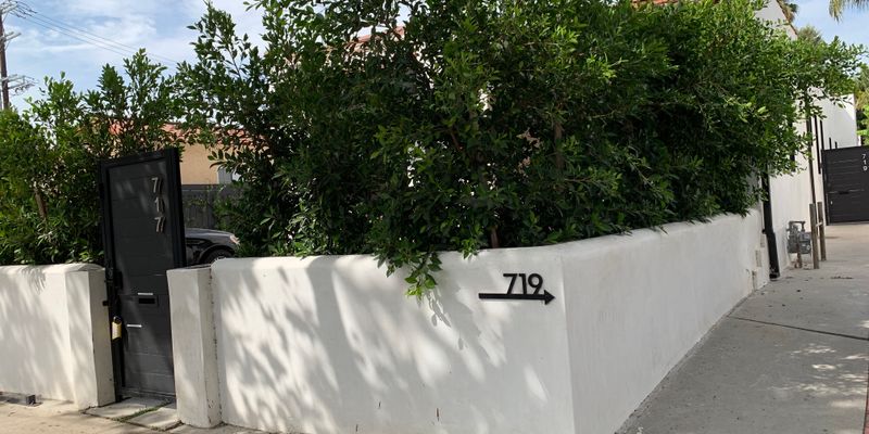Los Angeles House: 719 North Formosa Avenue