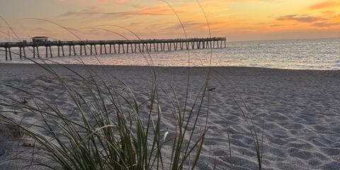 IMG_2909.jpeg