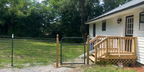 206 D Carlton St backyard.jpg