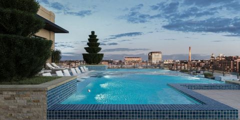 RooftopPool-3-1.jpg