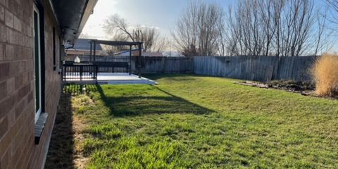 Backyard 1.jpg