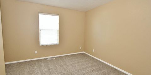 IMG_1194.jpg