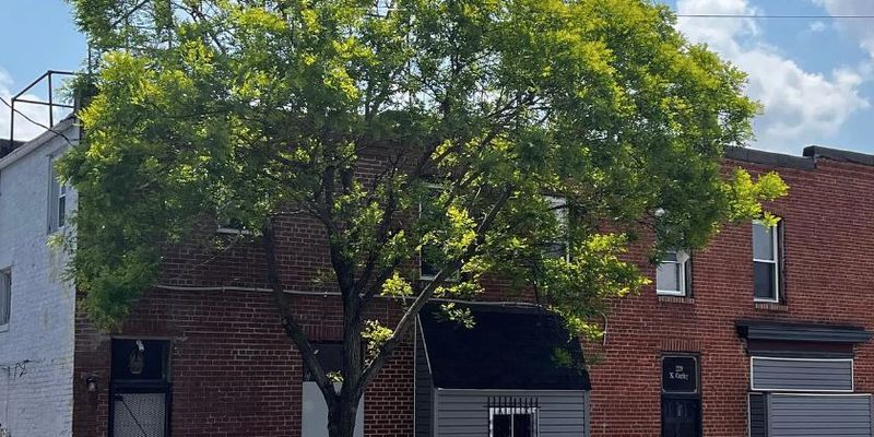 Baltimore House: 229 N Curley St