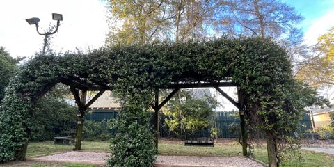 johns st arbor with swing.jpg