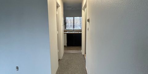 IMG_1131.jpeg