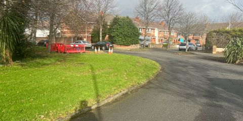 IMG_2755.jpeg