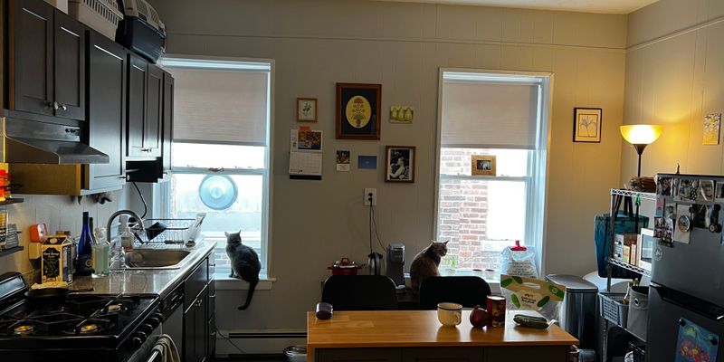 Boston Apartment: 8 Hyde Park Ave