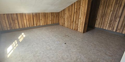 20241030_130232.jpg