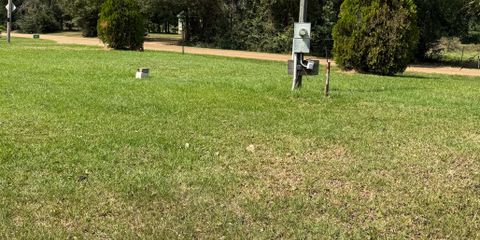 IMG_3713.jpeg