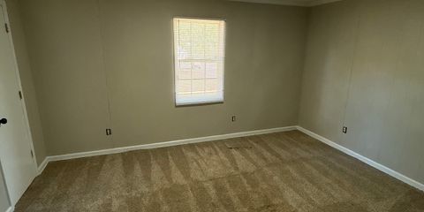 IMG_6955.jpeg