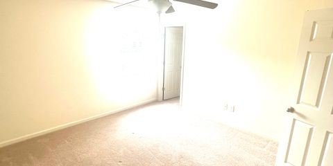 IMG_2105.jpeg