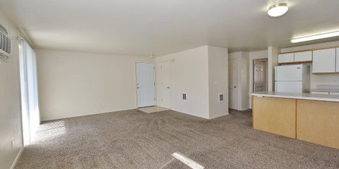 IMG_0455.jpg