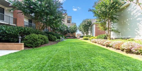3rd floor lawn.jpg