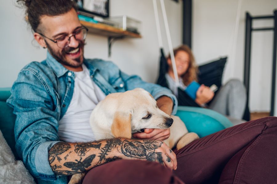 How To Get Rid of Dog Smell In An Apartment