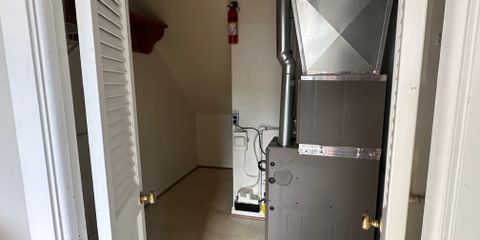 IMG_7385.JPEG