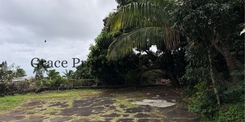 Grace Properties & Services copy 12.png