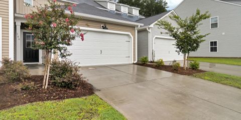 IMG_1493.jpg