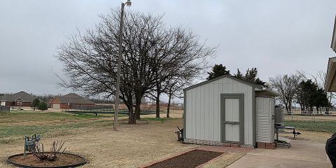 backyard.jpg
