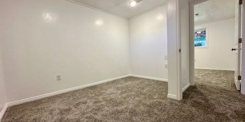 Downstairs storage:bonus:flex.jpeg