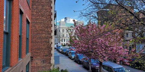 20200415_154708.jpg