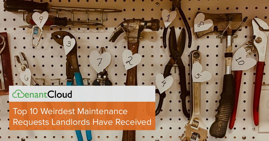 Top 10 Weirdest Maintenance Requests Landlords Have Received