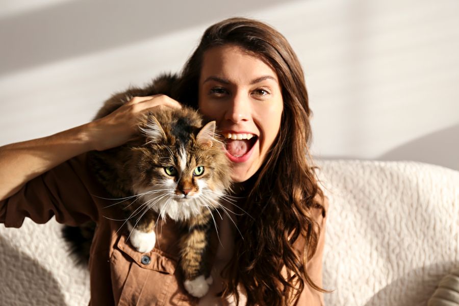 Pets in Rental Properties: A Guide for Landlords and Tenants