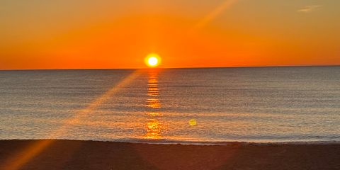 IMG_2866.jpeg