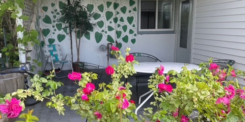 Helena Apartment: 1614 Stuart St