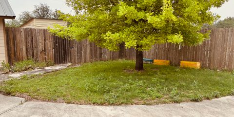 IMG_7646.jpeg