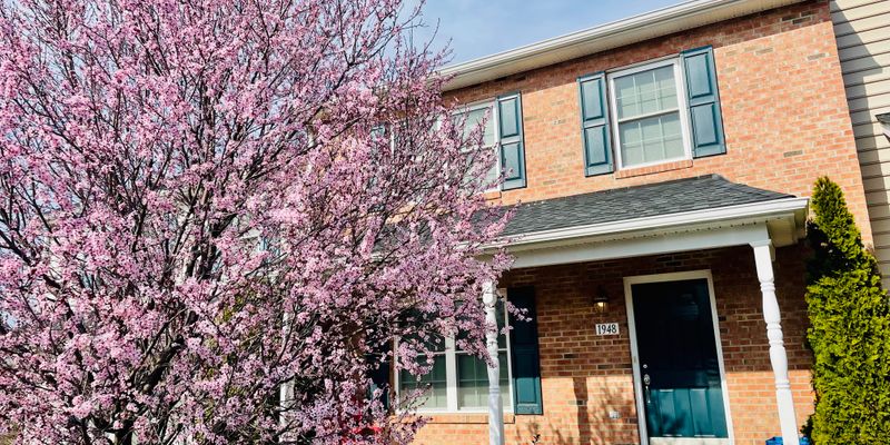 Winchester Townhome: 1948 Cidermill Ln