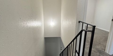 IMG_1753.jpeg