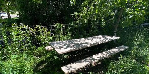 picnic table 1.jpg
