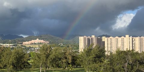 IMG_1996.jpeg