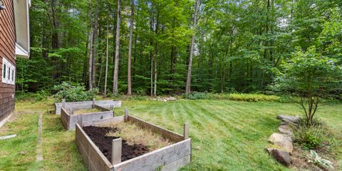 Raised Beds + Backyard Lawn.jpg