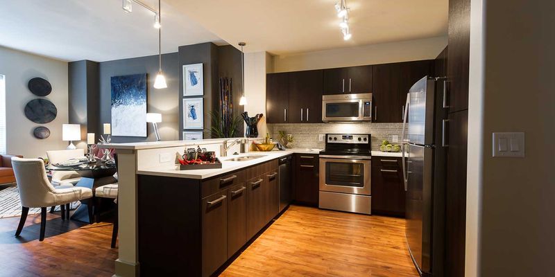 Houston Apartment: 1931 W Gray St