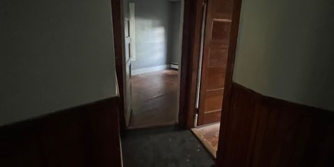 IMG_4235.jpeg