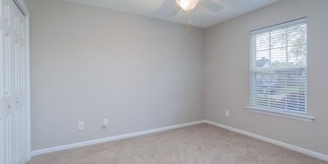 491303-18.JPG