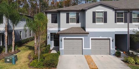 Screenshot 2026-02-03 at 11.14.29 AM.png