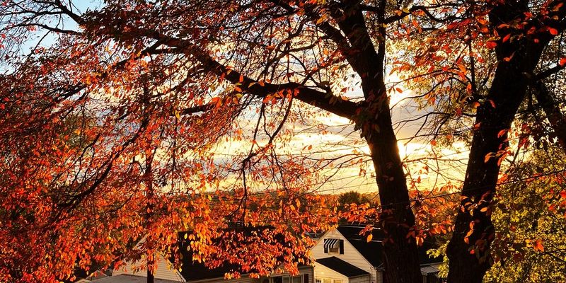 Parkersburg Apartment: 2405 45th St