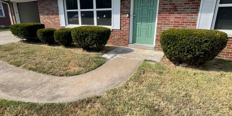 Fairview Heights House: 207 Meckfessel Dr