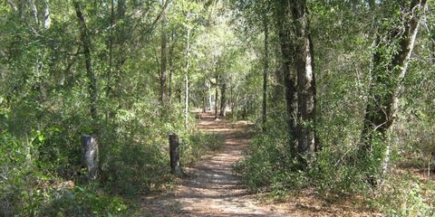 disc golf.JPG