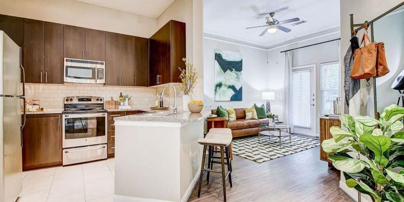 Houston Apartment: 225 S Heights Blvd